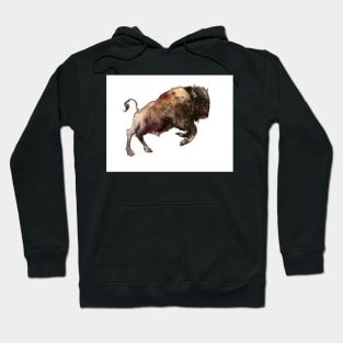 Bison Hoodie